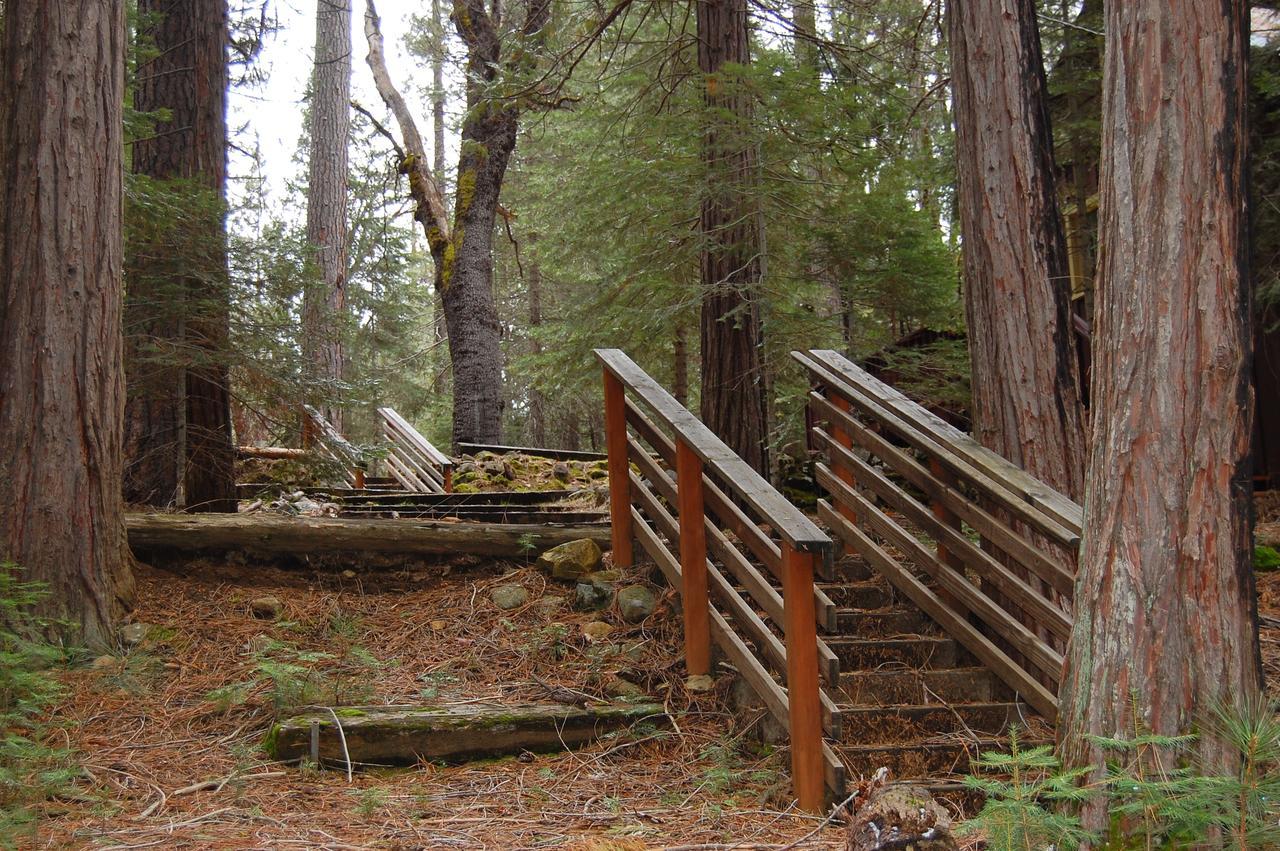 6S Fretzs Den Villa South Wawona Exterior photo